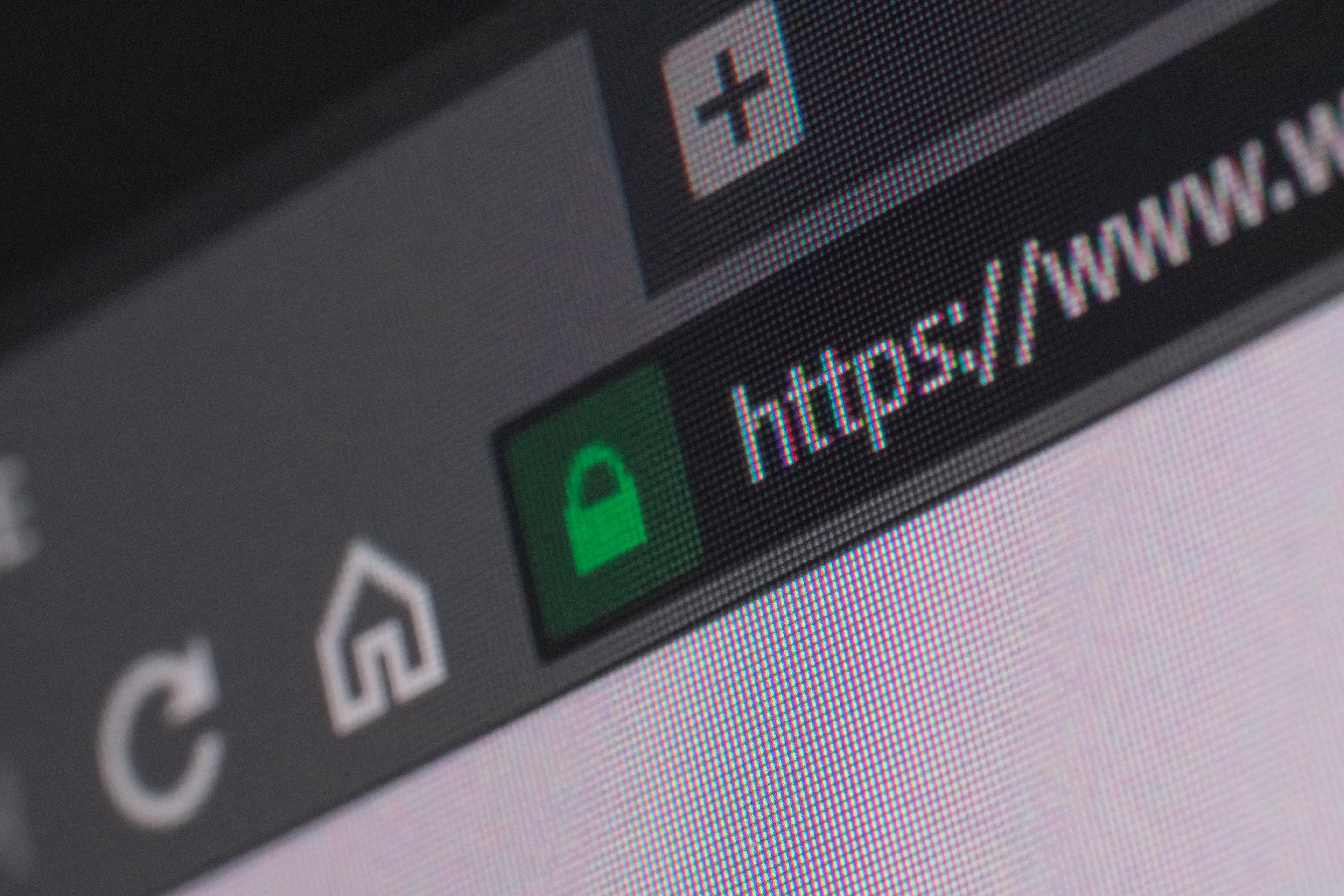 An address bar of a web browser